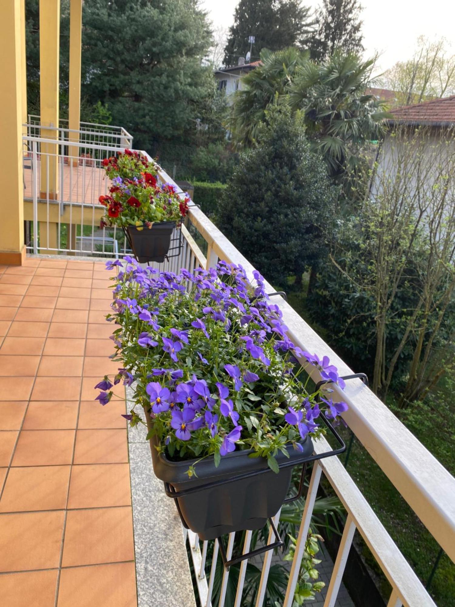 Appartamento Anna Lungo Fiume - Lago Maggiore Sesto Calende Ngoại thất bức ảnh