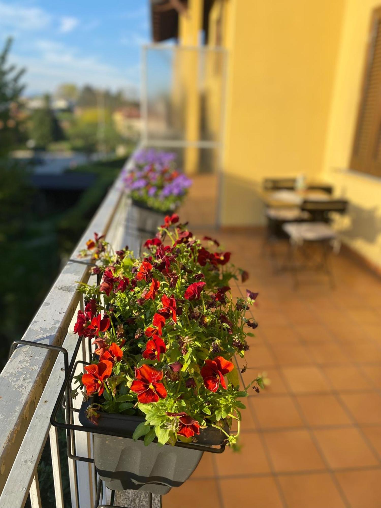 Appartamento Anna Lungo Fiume - Lago Maggiore Sesto Calende Ngoại thất bức ảnh